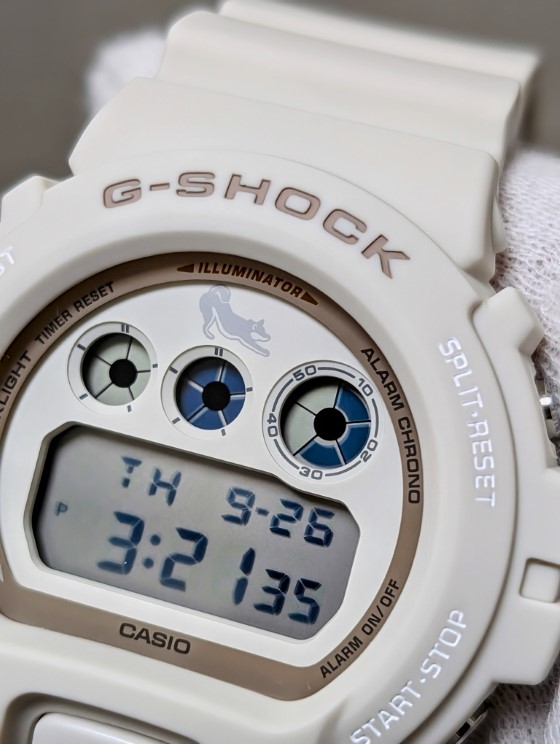 G-SHOCK DW-6900SHB-7JR