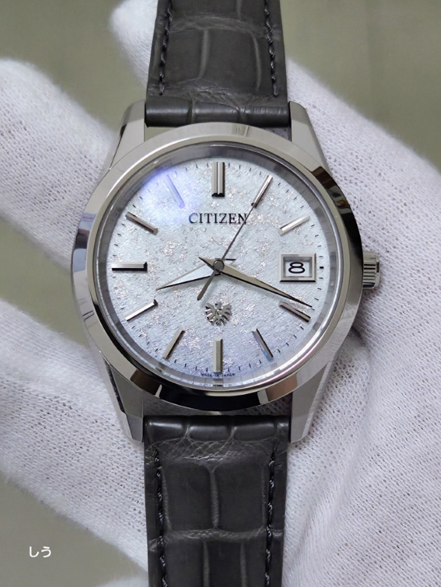The CITIZEN
ザ・シチズン
世界限定400本
AQ4100-22A