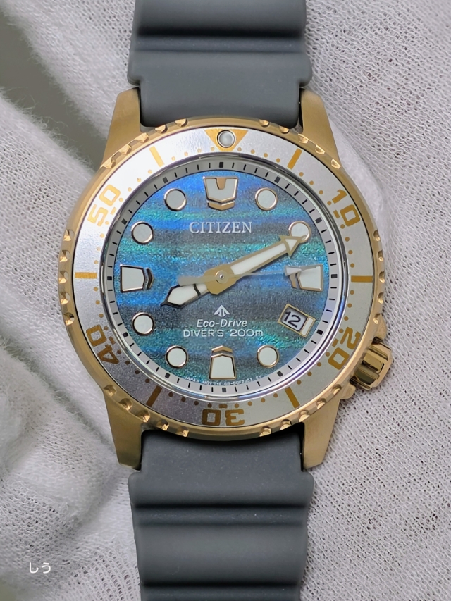 CITIZEN PROMASTER
シチズン プロマスター
EO2023-00W
世界限定3,400本